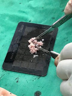 林彥斌醫師